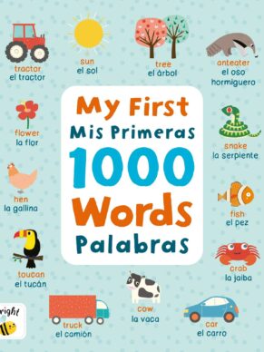 My First 1000 Words (Bright Bee)
