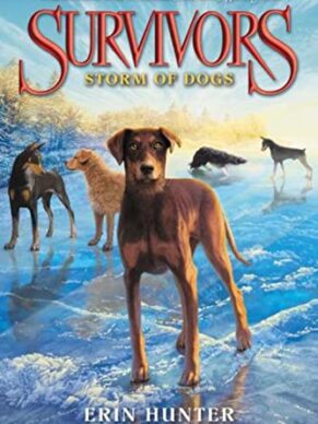 Storm of Dogs