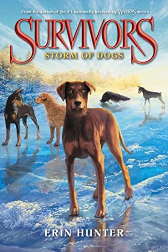 Storm of Dogs Storm of Dogs