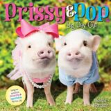 Prissy & Pop: Big Day Out Prissy & Pop: Big Day Out