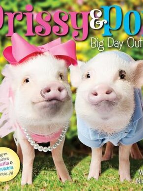 Prissy & Pop: Big Day Out