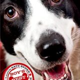 Boy’s Best Friend
