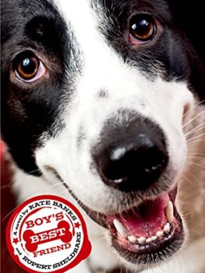 Boy’s Best Friend