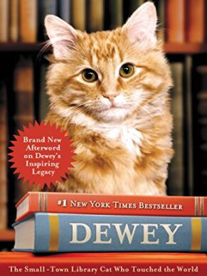 Dewey: The Small-Town Library Cat Who Touched ...