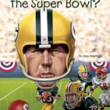 What Is The Super Bowl?