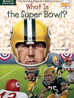 What Is The Super Bowl?