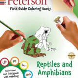 Peterson Field Guide Coloring Books: Reptiles and Amphibians