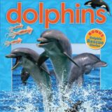 Scholastic Discover More: Dolphins