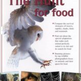 The Hunt for Food (Amazing Animals)