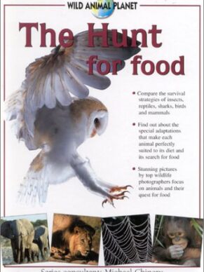 The Hunt for Food (Amazing Animals)