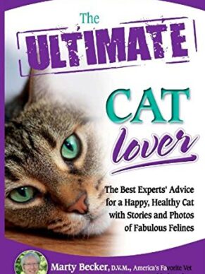 The Ultimate Cat Lover
