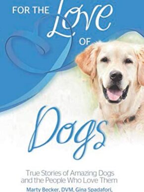 For the love of dogs