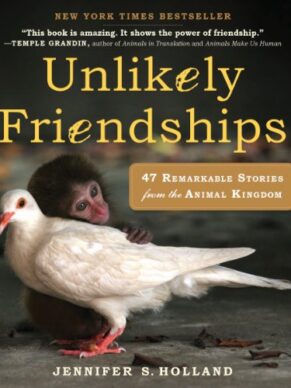 Unlikely Friendships : 47 Remarkable Stories from the Animal Kingdom