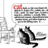 Cat (kat), N. …