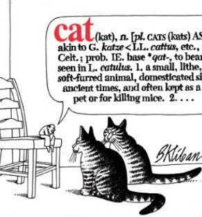 Cat (kat), N. …