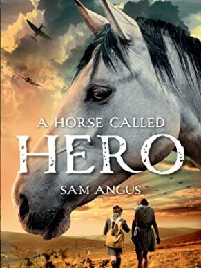 A Horse Called Hero