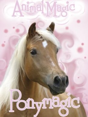 Ponymagic