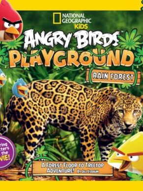 Angry Birds Playground