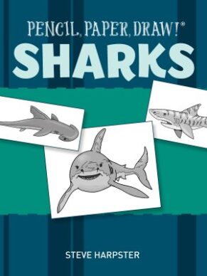 Pencil Paper Draw Sharks