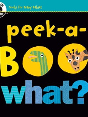Begin Smart Peek-a-Boo What?