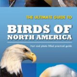 The Ultimate Guide To Birds of North America The Ultimate Guide To Birds of North America