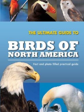 The Ultimate Guide To Birds of North America