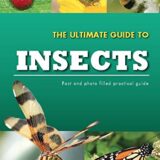 The Ultimate Guide to Insects