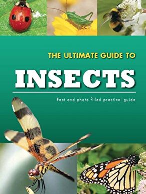 The Ultimate Guide to Insects