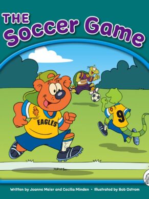 The soccer game