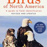 Birds of North America, Revised and Updated Birds of North America, Revised and Updated