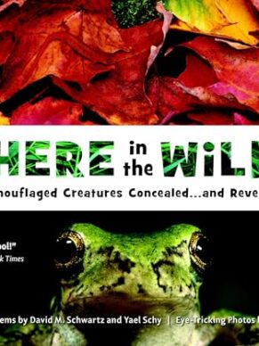 Where in the Wild?