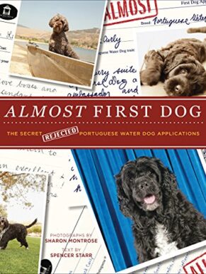 Almost First Dog: The Secret Rejected Portuguese Water Dog Applications