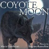 Coyote Moon Coyote Moon