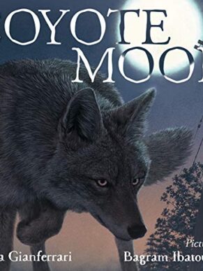 Coyote Moon
