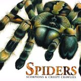 Spiders Scorpions & Creepy Crawlies