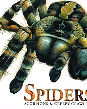 Spiders Scorpions & Creepy Crawlies