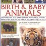 Wild Animal Planet: Birth and Baby Animals