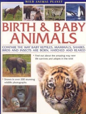 Wild Animal Planet: Birth and Baby Animals