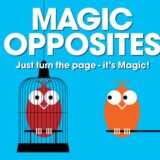 Magic Opposites
