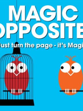 Magic Opposites