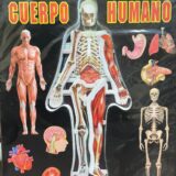 Atlas del cuerpo humano